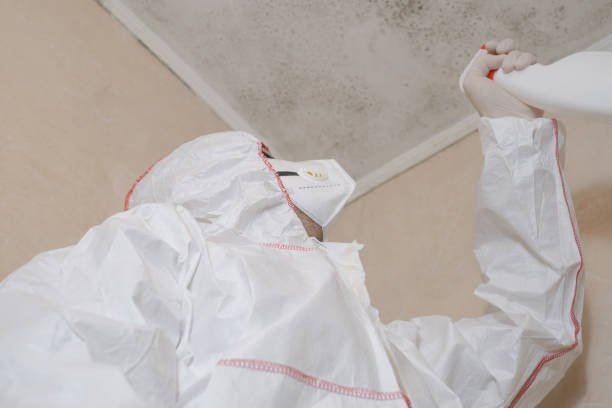 Reliable Tower City, PA Mold Remediation Solutions